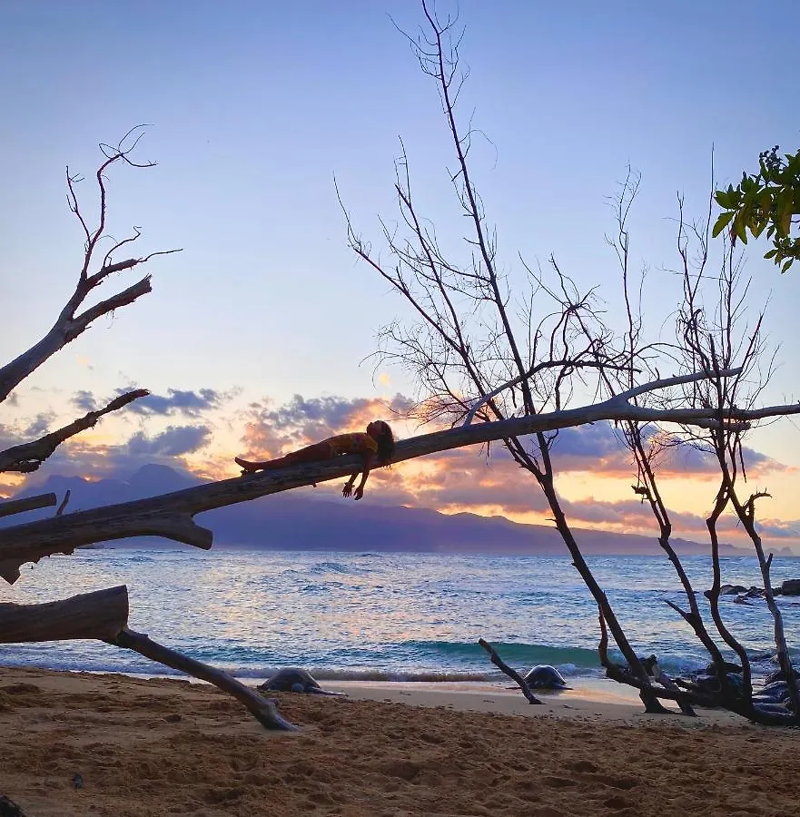 Embark On A Journey Through Maui With Aloha Glamp'S Jeep And Rooftop Tent Allows You To Discover Diverse Campgrounds, Unveiling The Island'S Beauty From Unique Perspectives Each Day Haiku